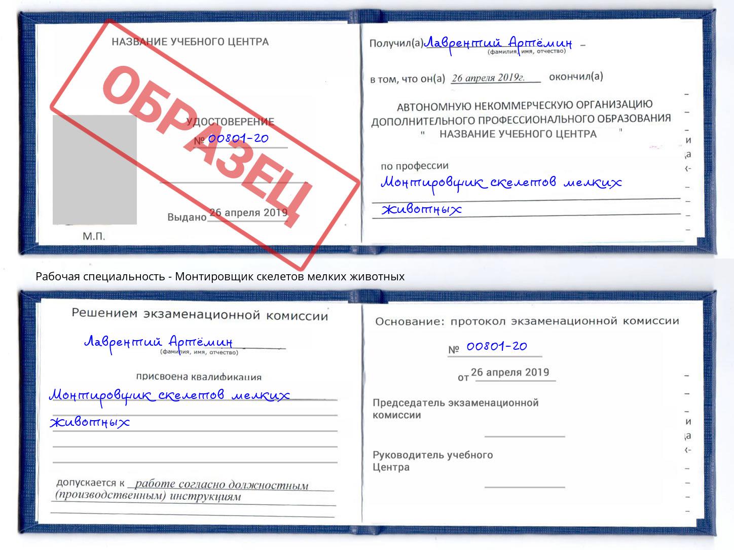 Монтировщик скелетов мелких животных Норильск