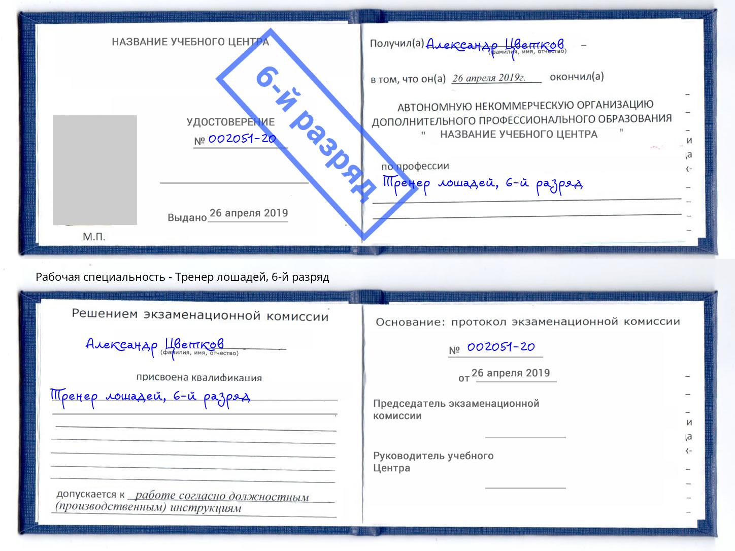 корочка 6-й разряд Тренер лошадей Норильск