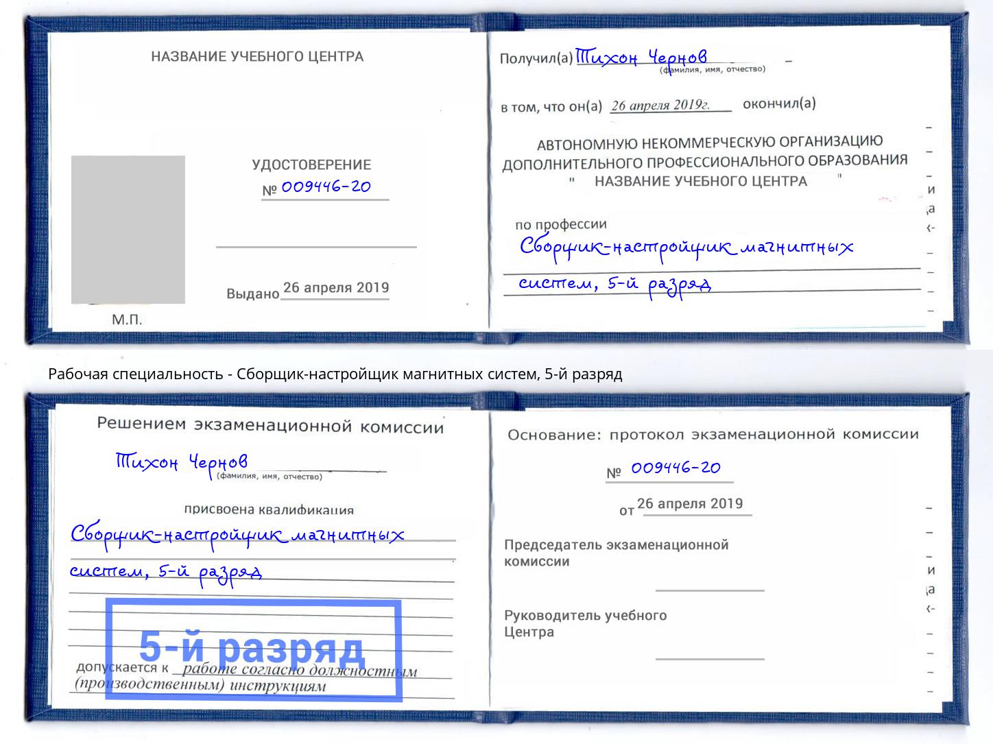 корочка 5-й разряд Сборщик-настройщик магнитных систем Норильск